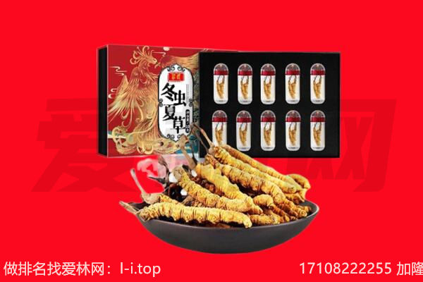 来宾市象州回收虫草.jpg